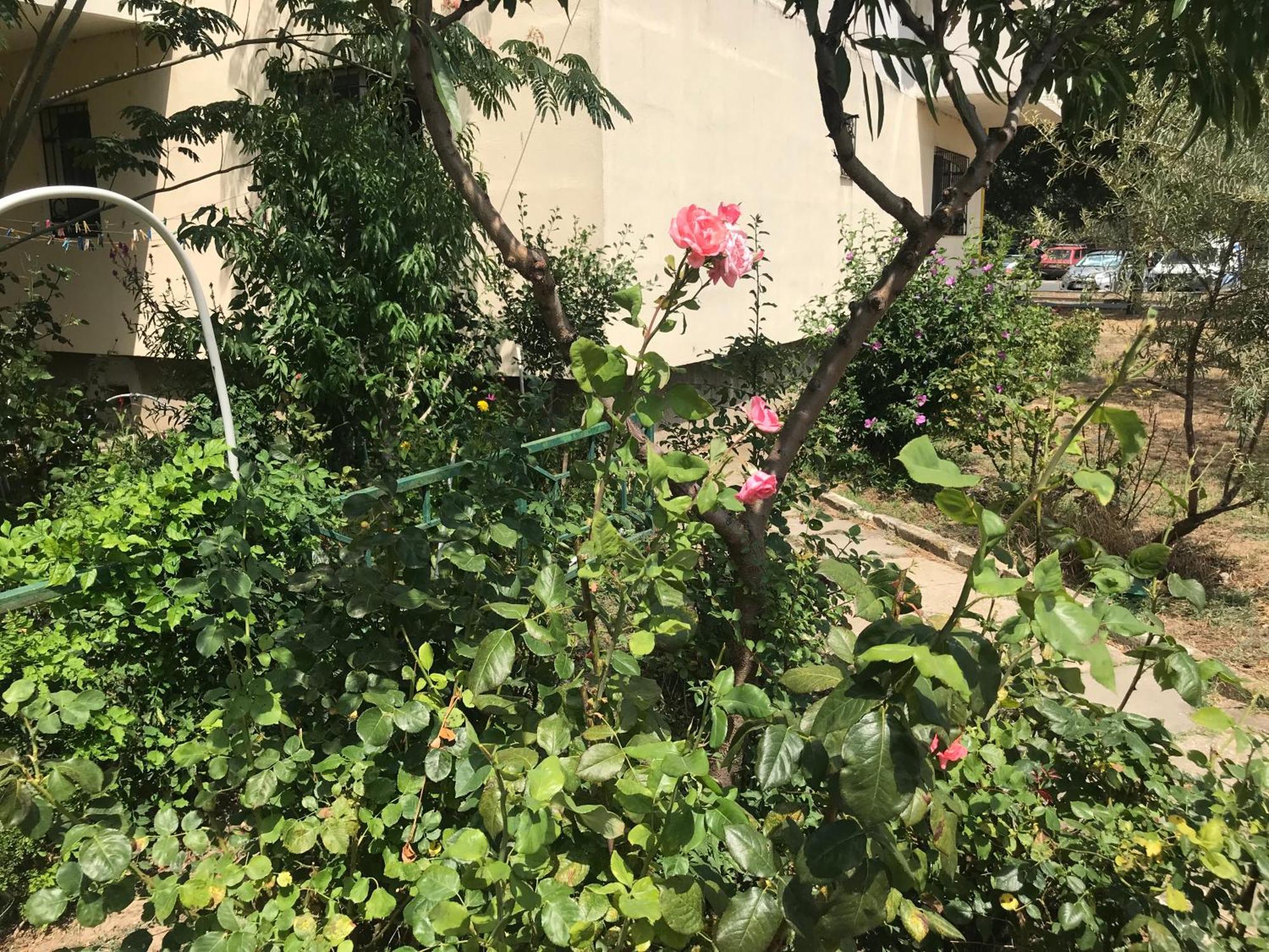 Apartament Langa Plaja Diana Mangalia Esterno foto