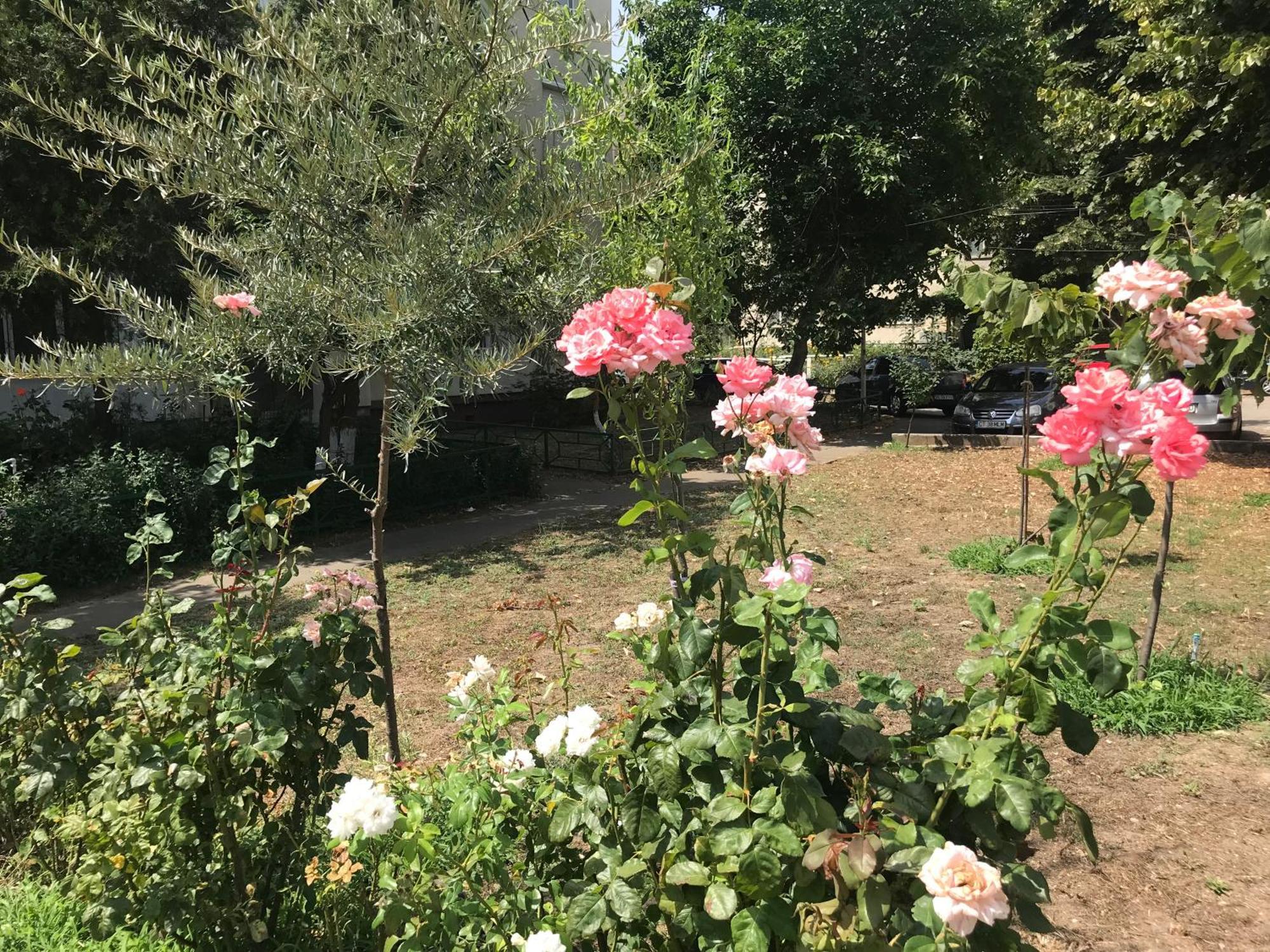 Apartament Langa Plaja Diana Mangalia Esterno foto